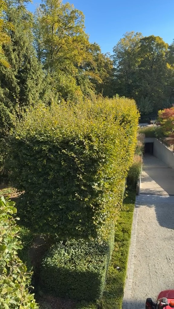 Vidéo – Réalisation Toni Jardin